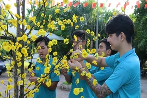 TP.HCM 'sợ' người nghiện tái đi tái lại 