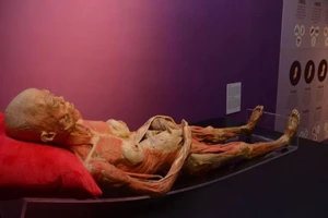 Mẹ cùng thai nhi 4 tháng tuổi đã chết vẫn 'đi thăm' 60 nước 