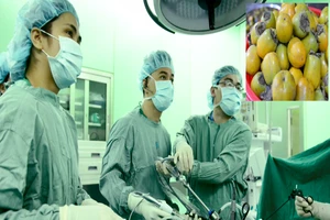 Nhập viện cấp cứu sau khi ăn 10 trái hồng liên tục