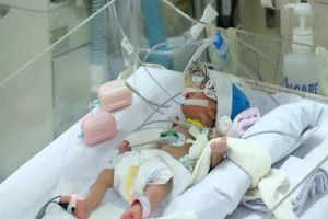 Hành trình 12 năm và 10.000 trái tim nhỏ được hồi sinh