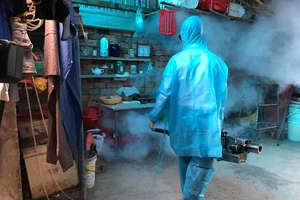 TP.HCM xử phạt hơn 1.000 trường hợp cố tình 'nuôi' lăng quăng