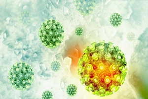Virus Corona có lây qua đường bụi khí được không? 