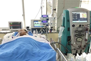 Tình hình sức khỏe mới nhất của người bị rắn hổ mang chúa cắn