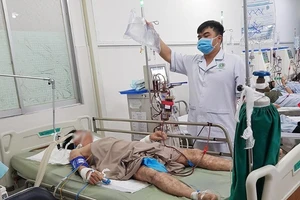 Sau ăn bao tử cá mặt thỏ, người đàn ông hôn mê, liệt hoàn toàn