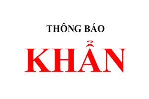 TP.HCM khẩn tìm người đến 5 cửa hàng điện thoại