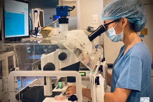 Hỗ trợ chi phí thụ tinh trong ống nghiệm cho 80 cặp vợ chồng khó khăn