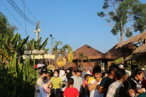 Độc đáo phiên chợ 'nhà trồng' ở Đồng Tháp