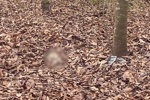 Phát hiện bộ xương người tại khu dân cư Phú Xuân huyện Nhà Bè