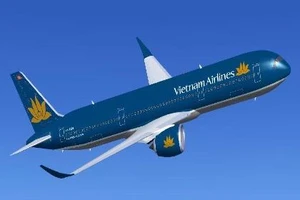 Máy bay Vietnam Airlines quay đầu vì va phải chim