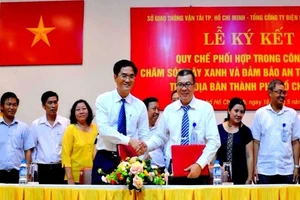 Lưới điện và cây xanh phải an toàn cho dân mùa mưa