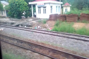 Trực ban ngủ quên, 2 tàu suýt tông nhau 