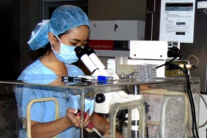 Thực hư tác dụng diệu kỳ của “thuốc bổ trứng”