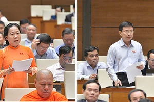 Chính quyền đô thị TP.HCM: Phù hợp với thực tiễn