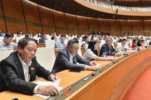 Chính quyền đô thị TP.HCM: Đã đến lúc quyết định!