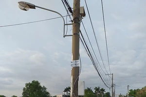 Những cây cột điện mọc giữa đường