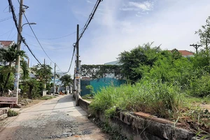 Pháp lý vụ đề​ nghị​ ngăn chặn​ đất của bà​ Trần Uyên​ Phương