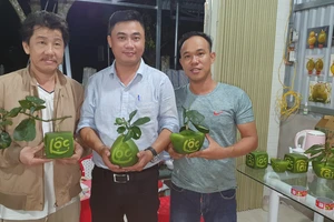 Hoa mới, trái cây hình độc, lạ rục rịch ra chợ tết