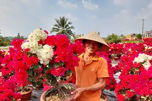 Hoa, nông sản tết: Kẻ cười, người khóc