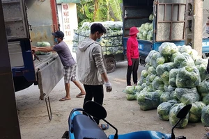 Doanh nghiệp Hải Dương kêu cứu vì nhiều tỉnh… cấm xe