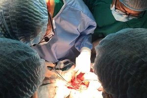 Hợp thức hóa mua bán tạng bằng nhiều mánh khóe tinh vi