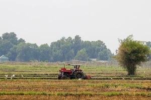 'Dễ thở' hơn trong chuyển mục đích sử dụng đất