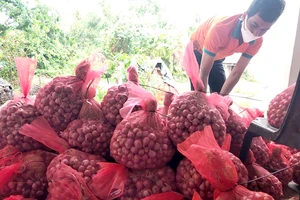 Đặc sản nổi tiếng Việt lên sàn, bán đắt như tôm tươi