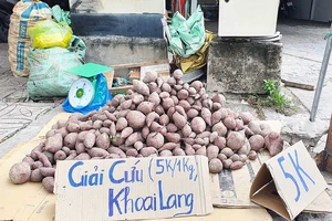 Nhiều loại nông sản rớt giá mạnh, tồn đọng lớn