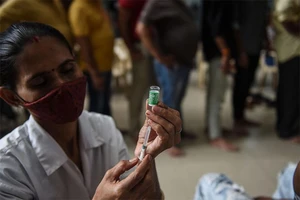 'Vaccine ấm' dạng bột của Ấn Độ có thể vô hiệu hóa biến thể Delta?
