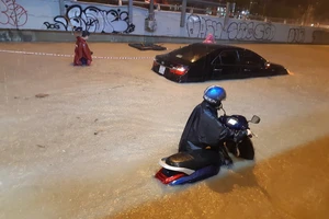 TP.HCM lên kế hoạch ứng phó và khắc phục hậu quả thiên tai