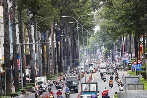 CSGT TP.HCM tăng cường xử lý đường dây làm giả giấy tờ xe