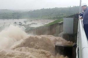 Thủy điện Tây Nguyên xả lũ, Phú Yên hoàn toàn bị động
