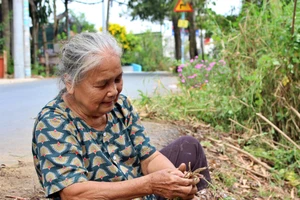 Người dân vùng ven trồng lại hoa để chống xả rác