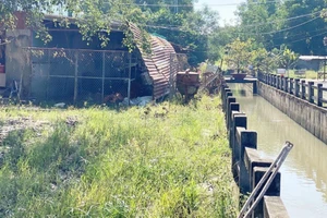 Sở NN&PTNT thông tin vụ kênh thoát nước ở Củ Chi