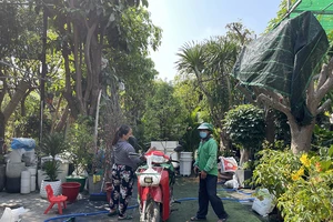 Nhà vườn nhộn nhịp lên mạng bán hoa tết, ship tận cửa