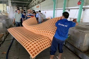 Kiếm cả tỉ USD từ phụ phẩm bỏ đi