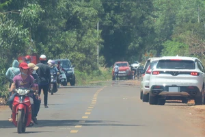 Lại sốt đất Bình Phước, Đắk Lắk, chuyên gia cảnh​báo nhà đầu tư