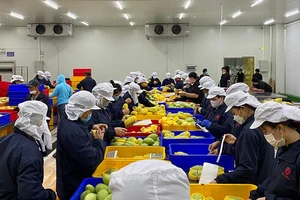 Khách hàng quốc tế đang 'săn' nông sản Việt 