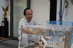 “Người bạn” của gần trăm chú chim chào mào đột biến 