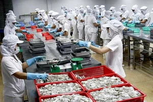 Tàu cá nằm bờ, doanh nghiệp “khát” nguyên liệu hải sản 