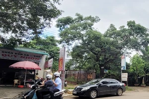 Bất thường vụ bảo lưu 12 năm mua đấu giá đất 