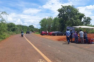 Chuyên gia mách nước thời điểm “săn đất ngộp” cuối năm 