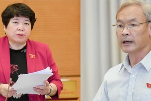 Người gây bạo lực gia đình sẽ bị phạt lao động công ích 