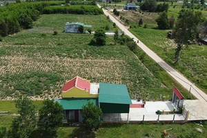 Lấy đất dành cho hộ nghèo cấp cho gia đình cán bộ 