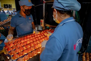 Thực phẩm chăn nuôi theo mô hình thả rông lên ngôi 