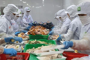 Giảm thuế cho doanh nghiệp nhỏ: Hợp lý 