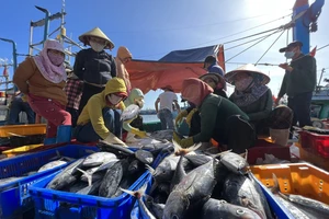 Việt Nam xử lý nghiêm những vi phạm về IUU 