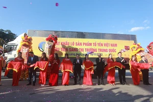 Mất cơ hội triệu đô vì thủ tục về xuất khẩu tổ yến chậm trễ