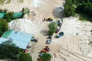 Điều tra: 'Công trường sa tặc' trong rừng ở Bình Thuận - Bài 1: Xe ồ ạt chở hàng ngàn khối cát về bãi xuyên Tết