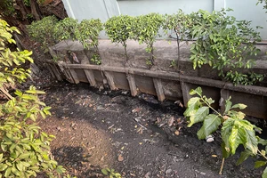 TP.HCM: Dân 2 phường cùng khổ vì con rạch ô nhiễm