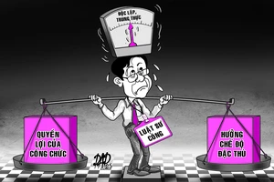 Luật sư công: Công chức hay luật sư độc lập?